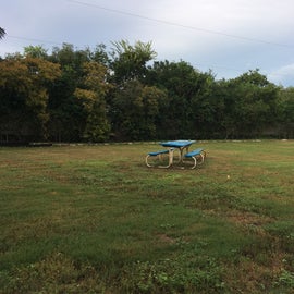 Open space with a picnic bench
