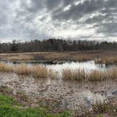 Review photo of Santee Coastal Reserve by Andy K., February 15, 2023