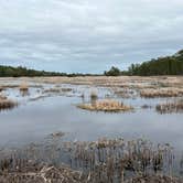 Review photo of Santee Coastal Reserve by Andy K., February 15, 2023