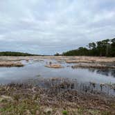 Review photo of Santee Coastal Reserve by Andy K., February 15, 2023