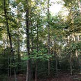 Review photo of Pocahontas State Park Campground by Nancy  R., September 30, 2018