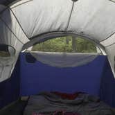 Review photo of Kiptopeke State Park Campground by Elena B., September 30, 2018