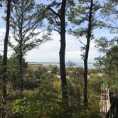 Review photo of Kiptopeke State Park Campground by Elena B., September 30, 2018