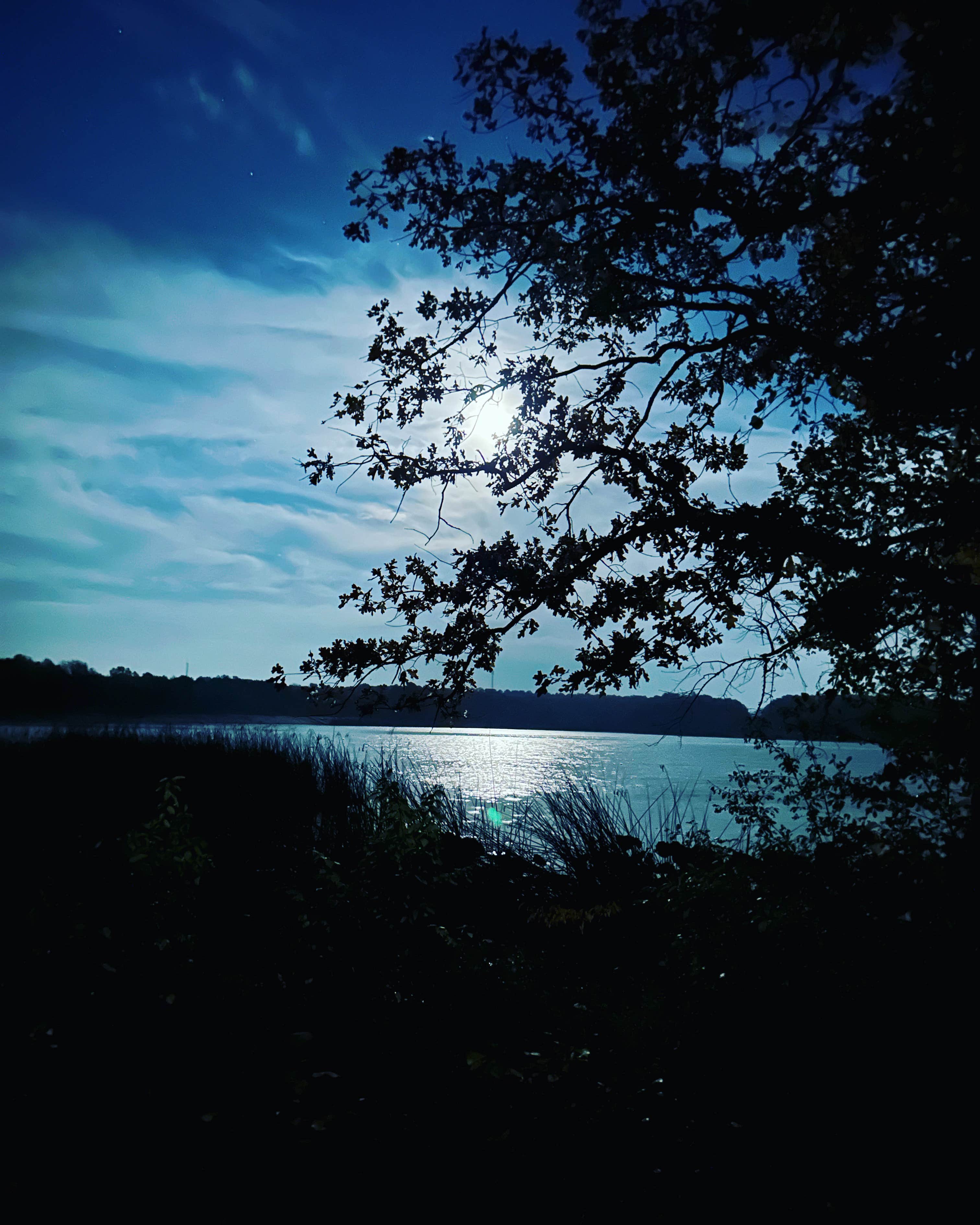 Camper-submitted photo at West Lake Crockett near Bonham, TX