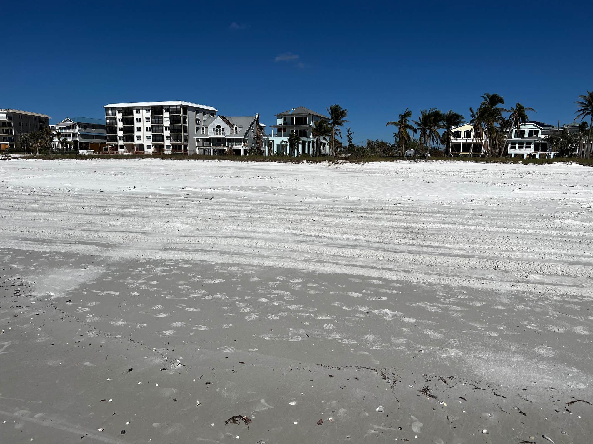 Camper-submitted photo at Dancing Dolphins near Estero, FL