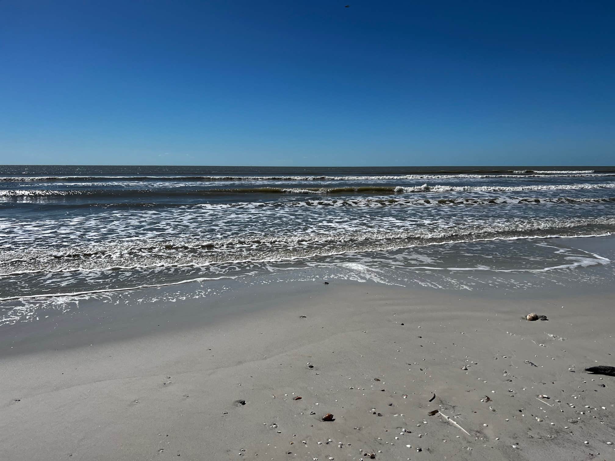 Camper-submitted photo at Dancing Dolphins near Estero, FL