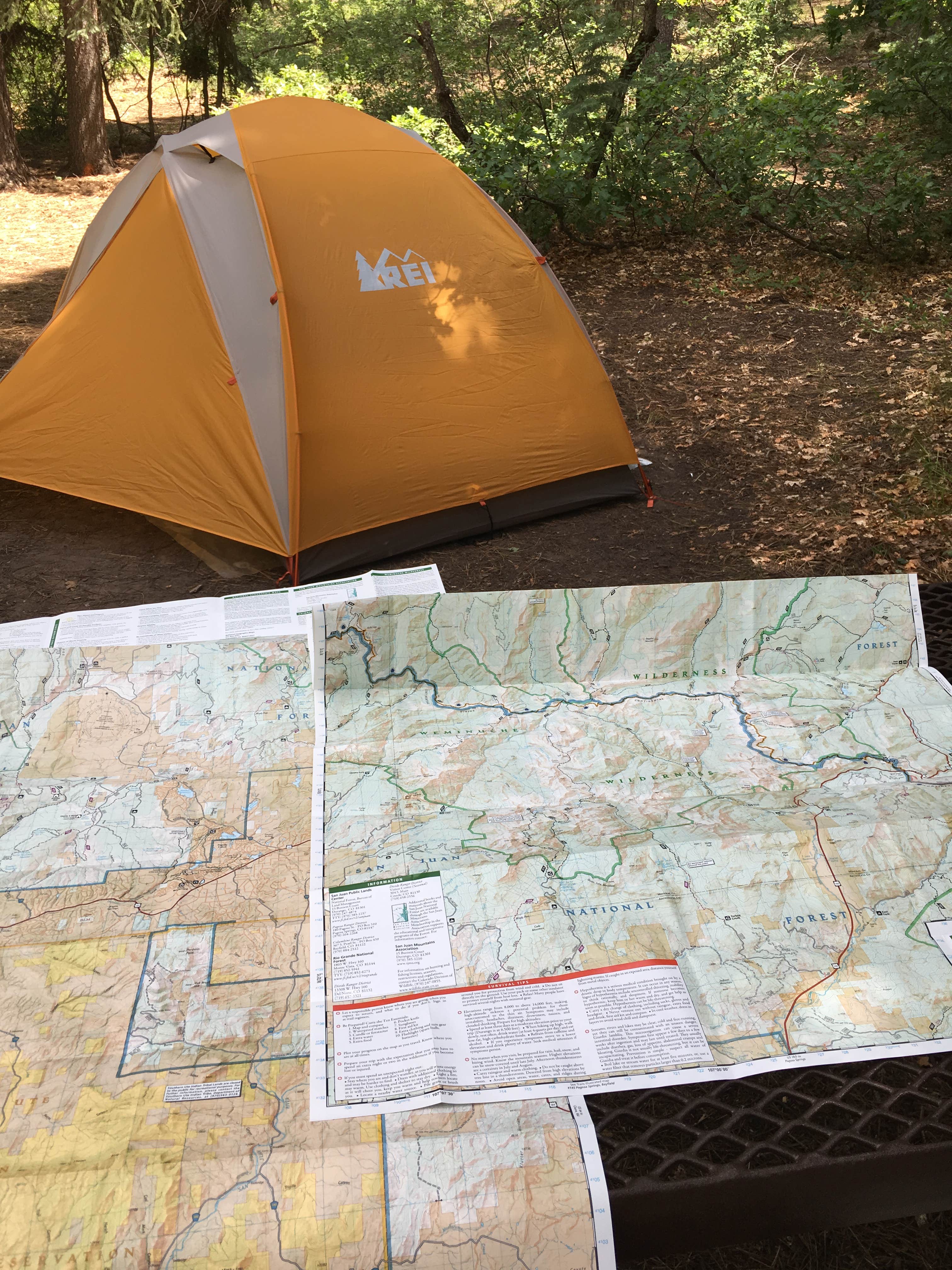 Annie C.'s photo at West Fork Campground near Pagosa Springs, CO