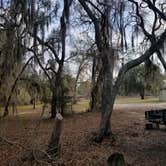 Review photo of Reed Bingham State Park Campground by Katrin M., February 17, 2023