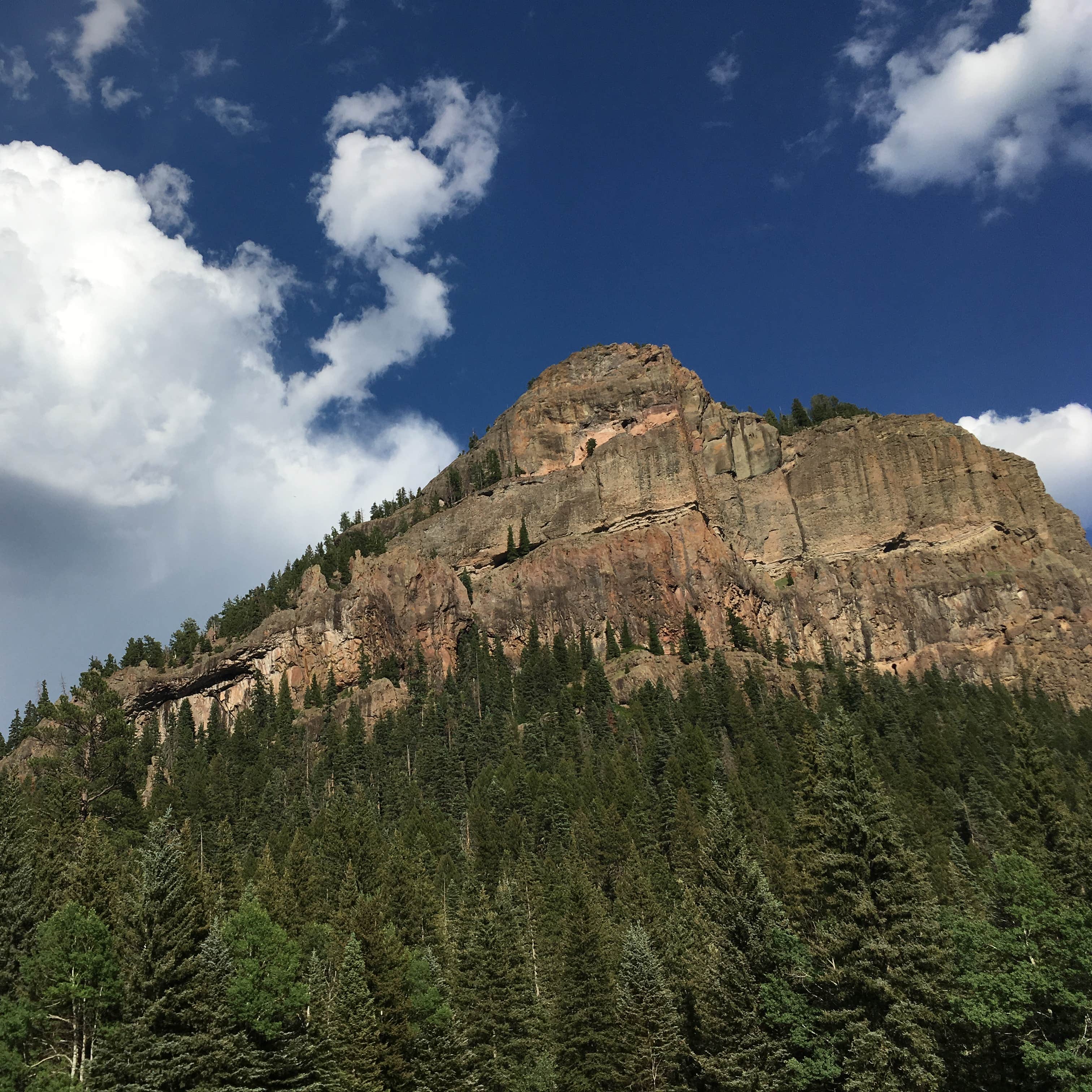 West Fork Campground N Camping The Dyrt