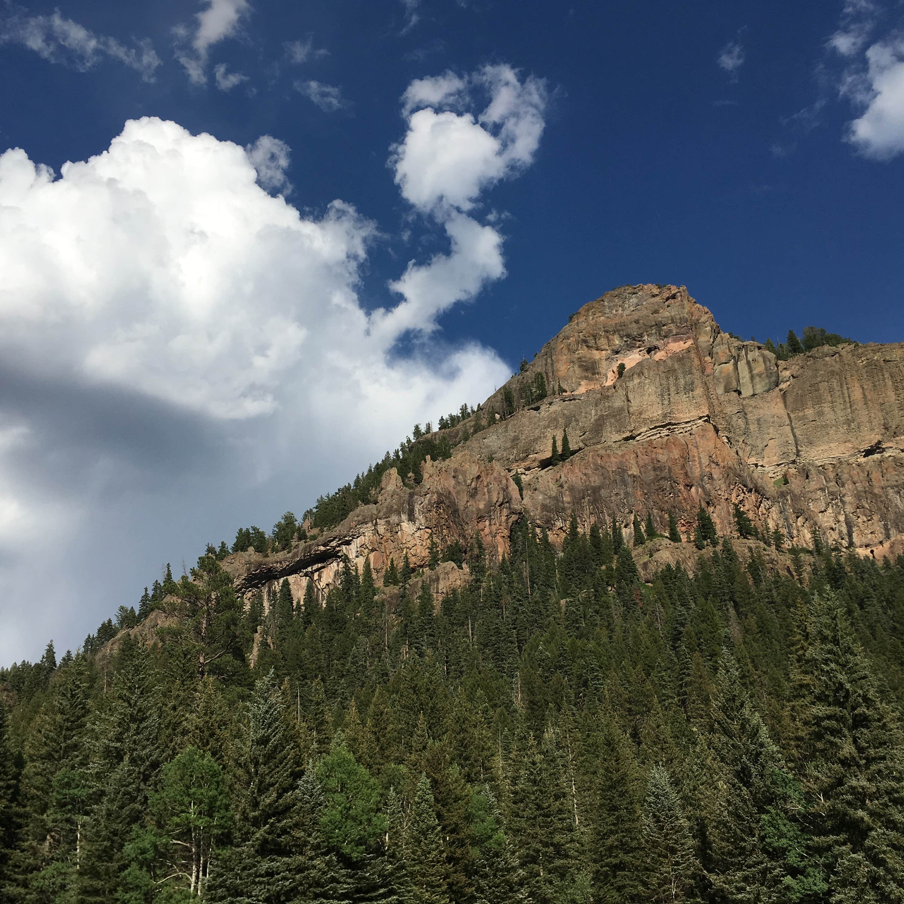 Escape To The Wild: Unplug And Explore At Colorado’s West Fork Campground