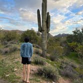 Review photo of Bulldog Canyon Dispersed Camping - North Entrance by Lohgan  M., February 17, 2023