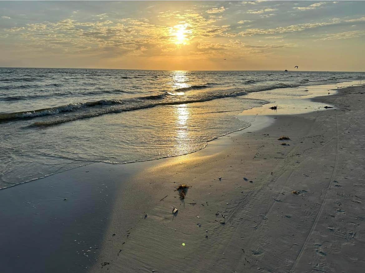 Camper-submitted photo at Dancing Dolphins near Estero, FL