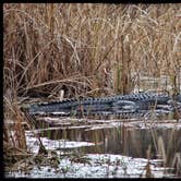 Review photo of Santee Coastal Reserve by Andy K., February 18, 2023