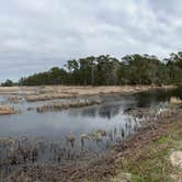 Review photo of Santee Coastal Reserve by Andy K., February 18, 2023