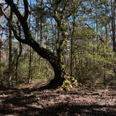 Review photo of Santee Coastal Reserve by Andy K., February 18, 2023