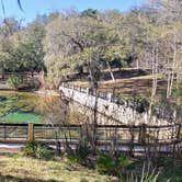 Review photo of Salt Springs Recreation Area by deb K., February 18, 2023