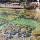 Review photo of Salt Springs Recreation Area by deb K., February 18, 2023