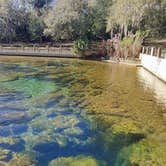 Review photo of Salt Springs Recreation Area by deb K., February 18, 2023