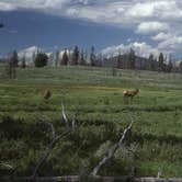 Review photo of Indian Creek Campground — Yellowstone National Park by Bill R., February 18, 2023