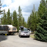 Review photo of Indian Creek Campground — Yellowstone National Park by Bill R., February 18, 2023