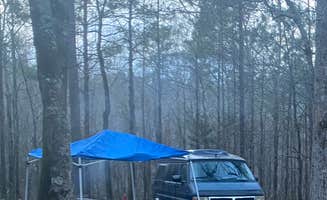 Seth M.'s photo at Meridian East-Toomsuba KOA near Silas, AL