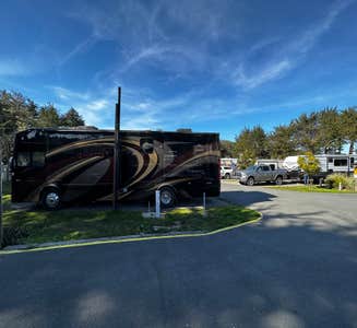 Camper-submitted photo from Bodega Bay RV Park
