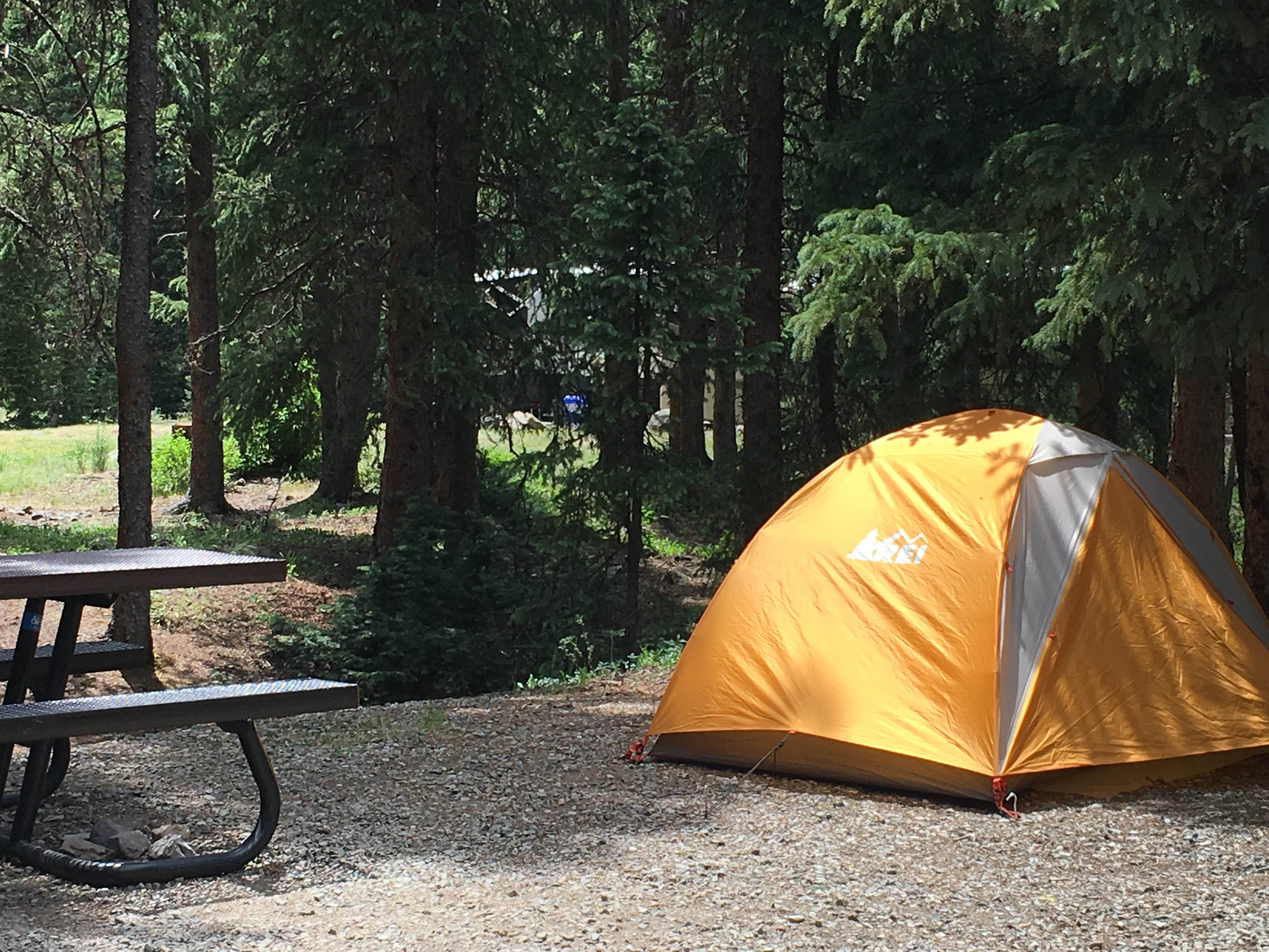 Camper submitted image from South Mineral Campground — San Juan National Forest - 5