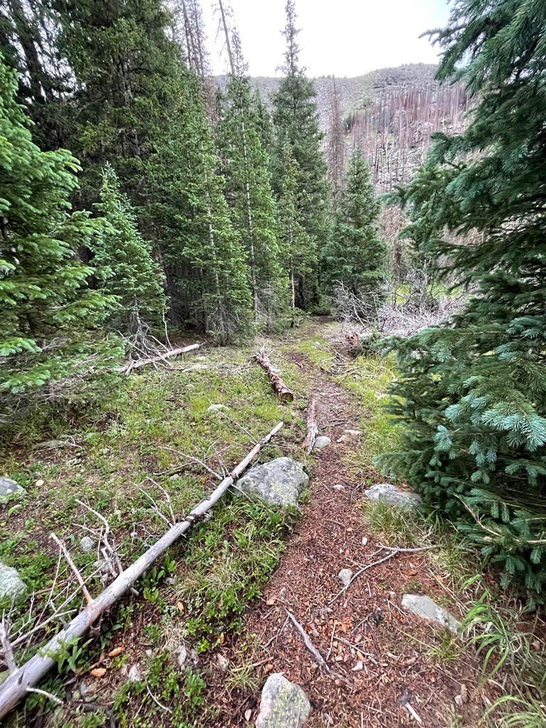 Camper-submitted photo at Tonahutu Meadows Backcountry Campsite — Rocky Mountain National Park near Rocky Mountain National Park