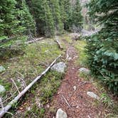 Review photo of Tonahutu Meadows Backcountry Campsite — Rocky Mountain National Park by Michael B., February 19, 2023