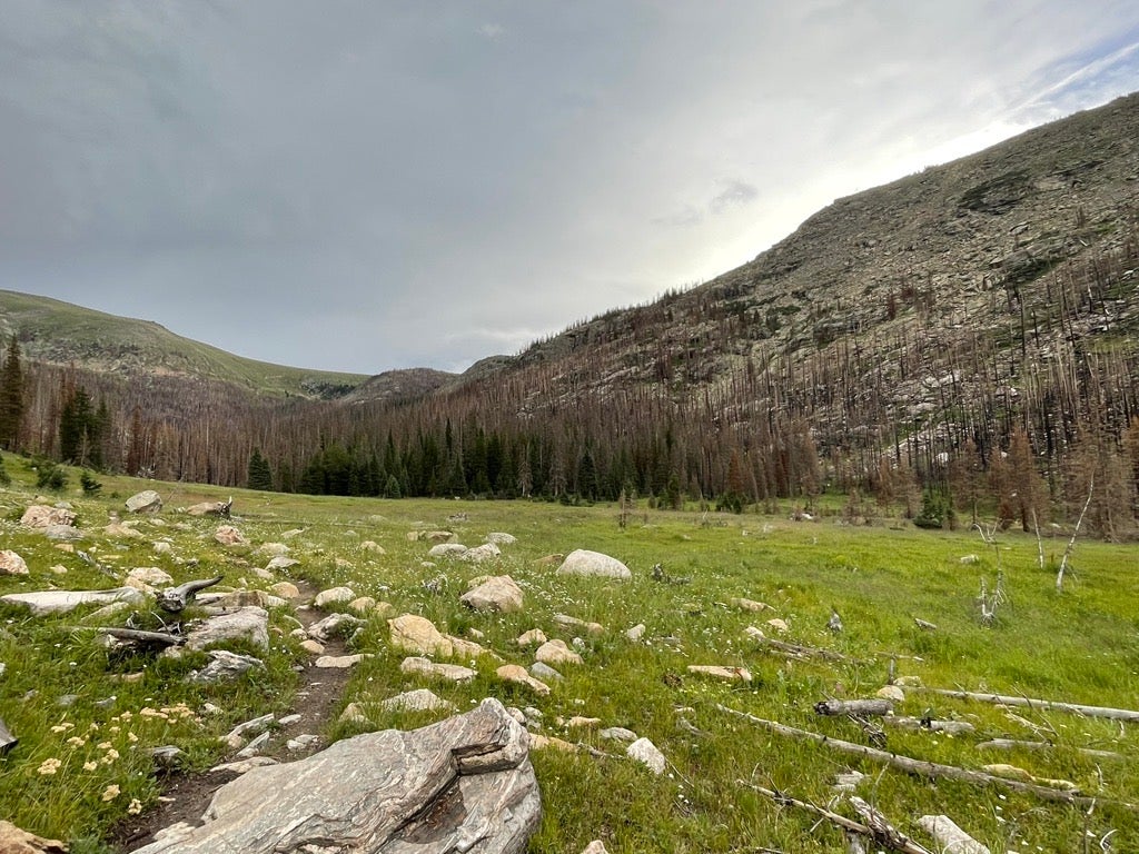 Camper submitted image from Tonahutu Meadows Backcountry Campsite — Rocky Mountain National Park - 4