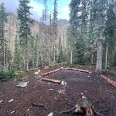 Review photo of Tonahutu Meadows Backcountry Campsite — Rocky Mountain National Park by Michael B., February 19, 2023