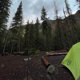 Review photo of Tonahutu Meadows Backcountry Campsite — Rocky Mountain National Park by Michael B., February 19, 2023