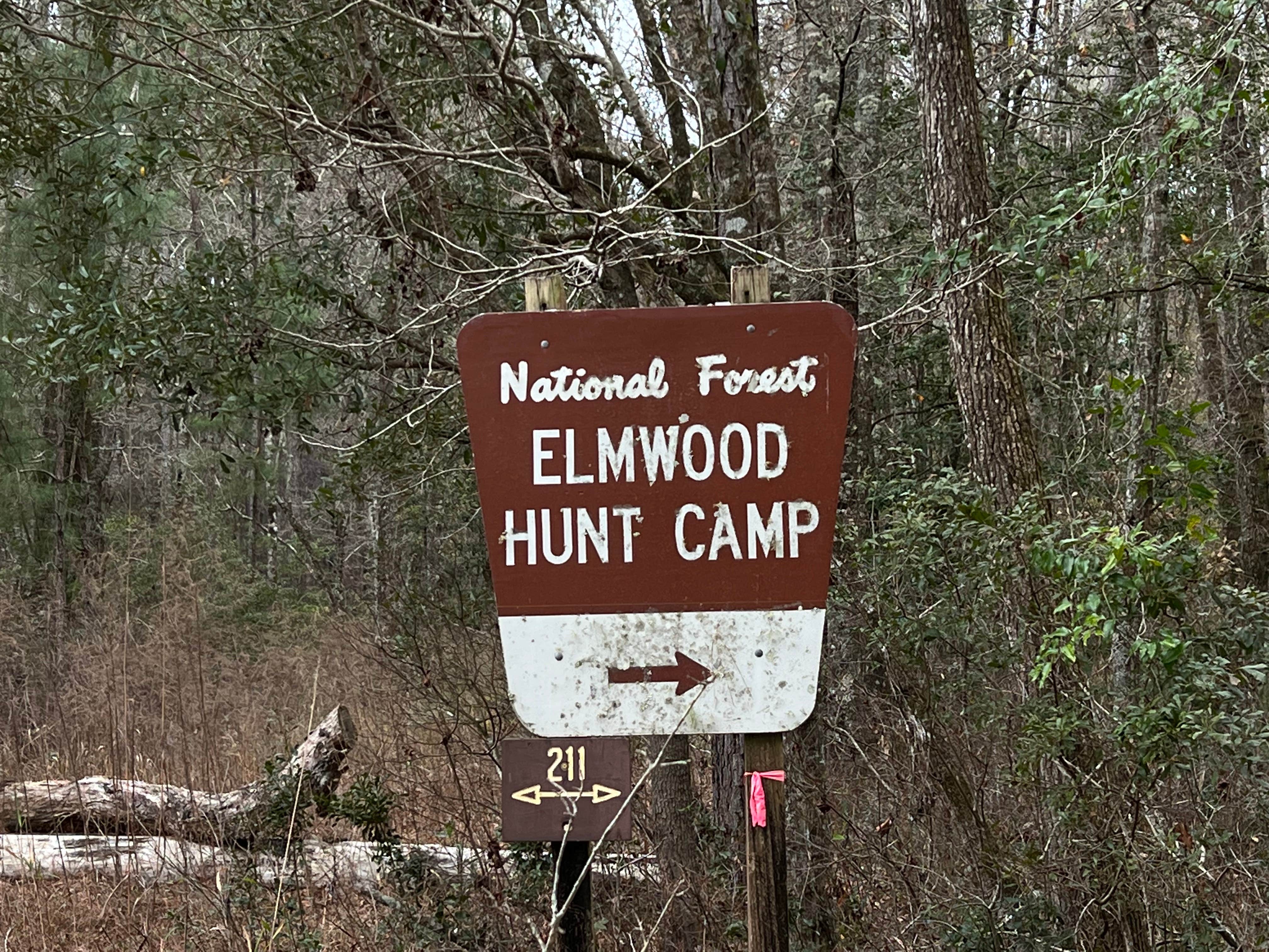 Camper-submitted photo at Elmwood Recreation Area near Georgetown, SC
