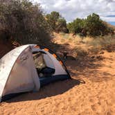 Review photo of Sand Flats Recreation Area by Lauren S., September 30, 2018