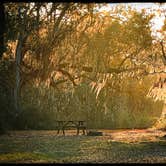 Review photo of Santee Coastal Reserve by Andy K., February 15, 2023