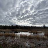 Review photo of Santee Coastal Reserve by Andy K., February 15, 2023