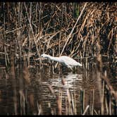 Review photo of Santee Coastal Reserve by Andy K., February 15, 2023