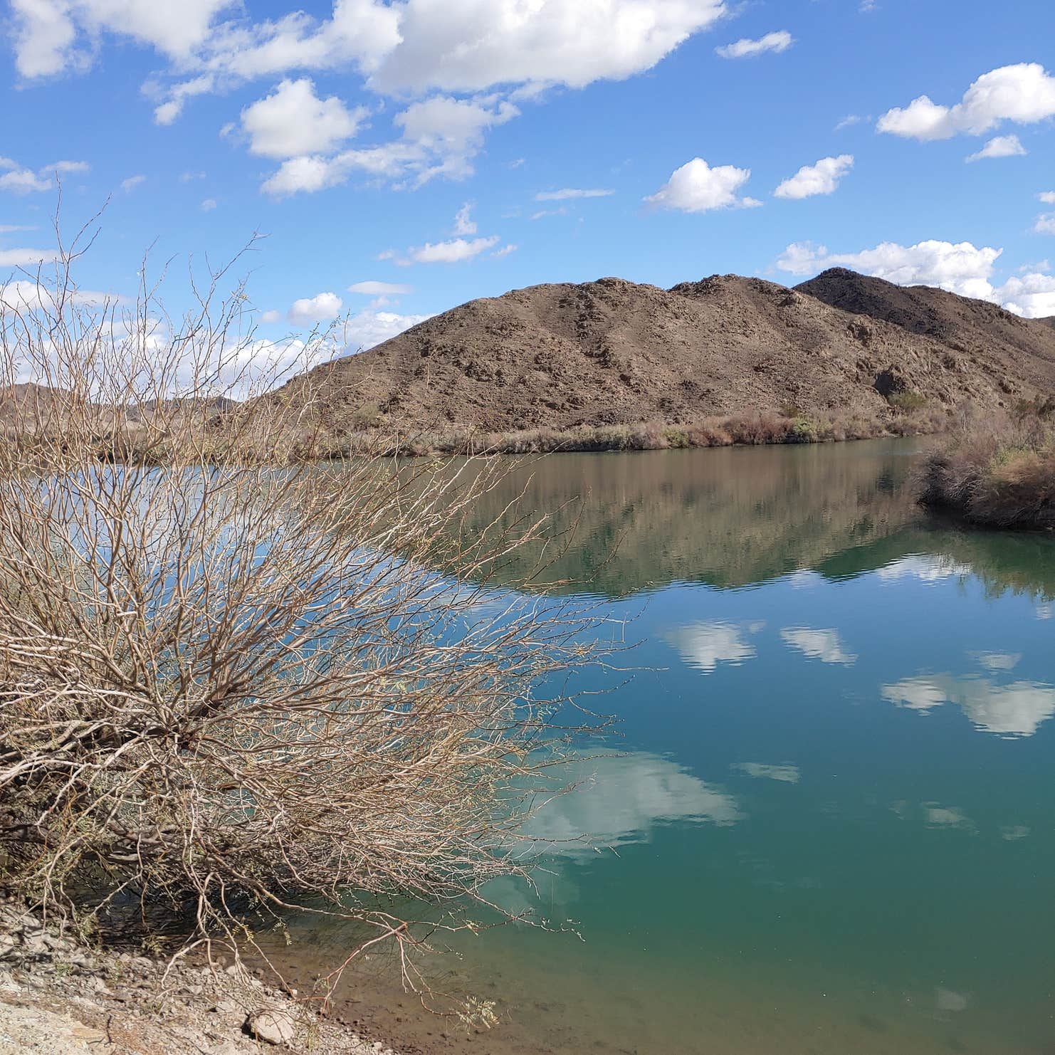 Lake Mittry Wildlife Designated Camping Area Winterhaven, AZ