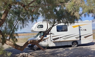 Camping near BLM Imperial Dam Long Term Visitor Area (LTVA): Lake Mittry Wildlife Designated Camping Area, Winterhaven, Arizona