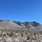 Review photo of Oasis Las Vegas RV Resort by Brett D., February 20, 2023