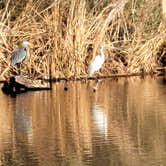 Review photo of Fortuna Pond - CLOSED by Karen , February 20, 2023