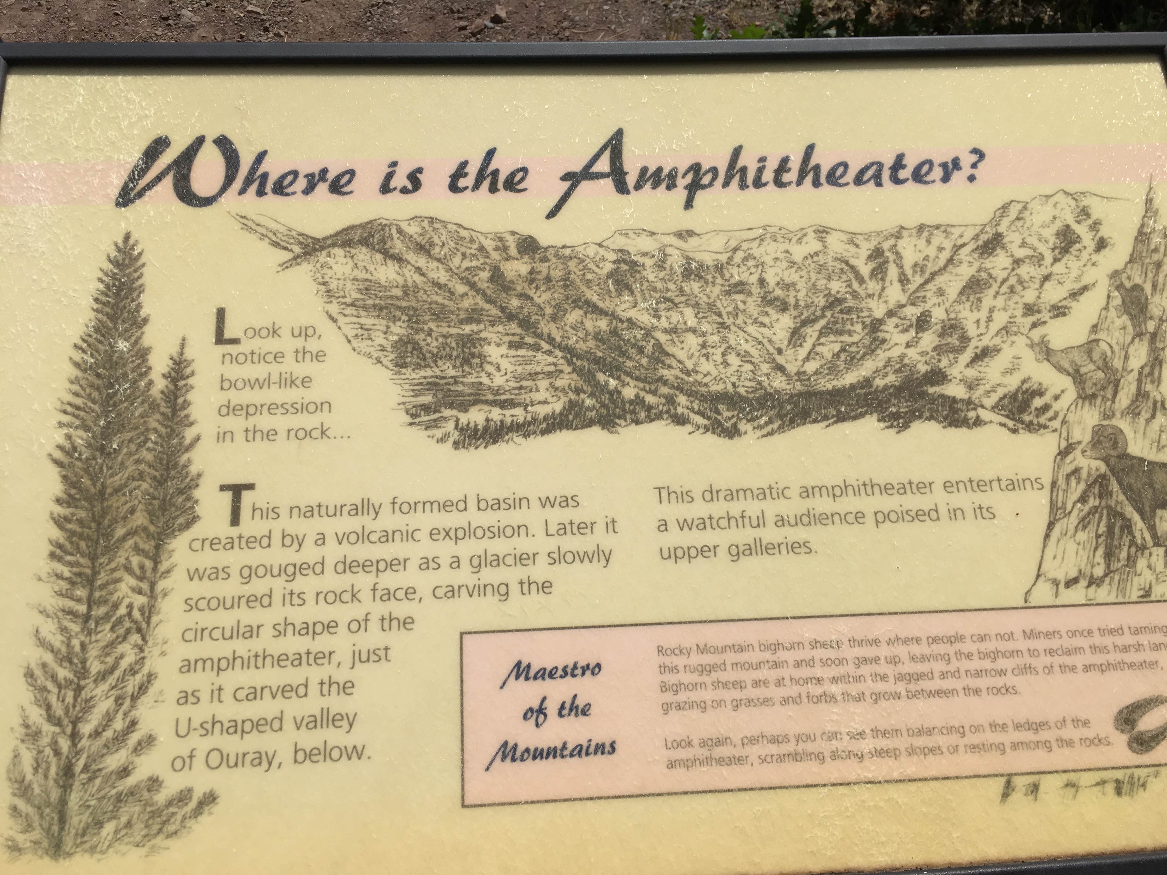 Camper submitted image from Amphitheater Campground - 5