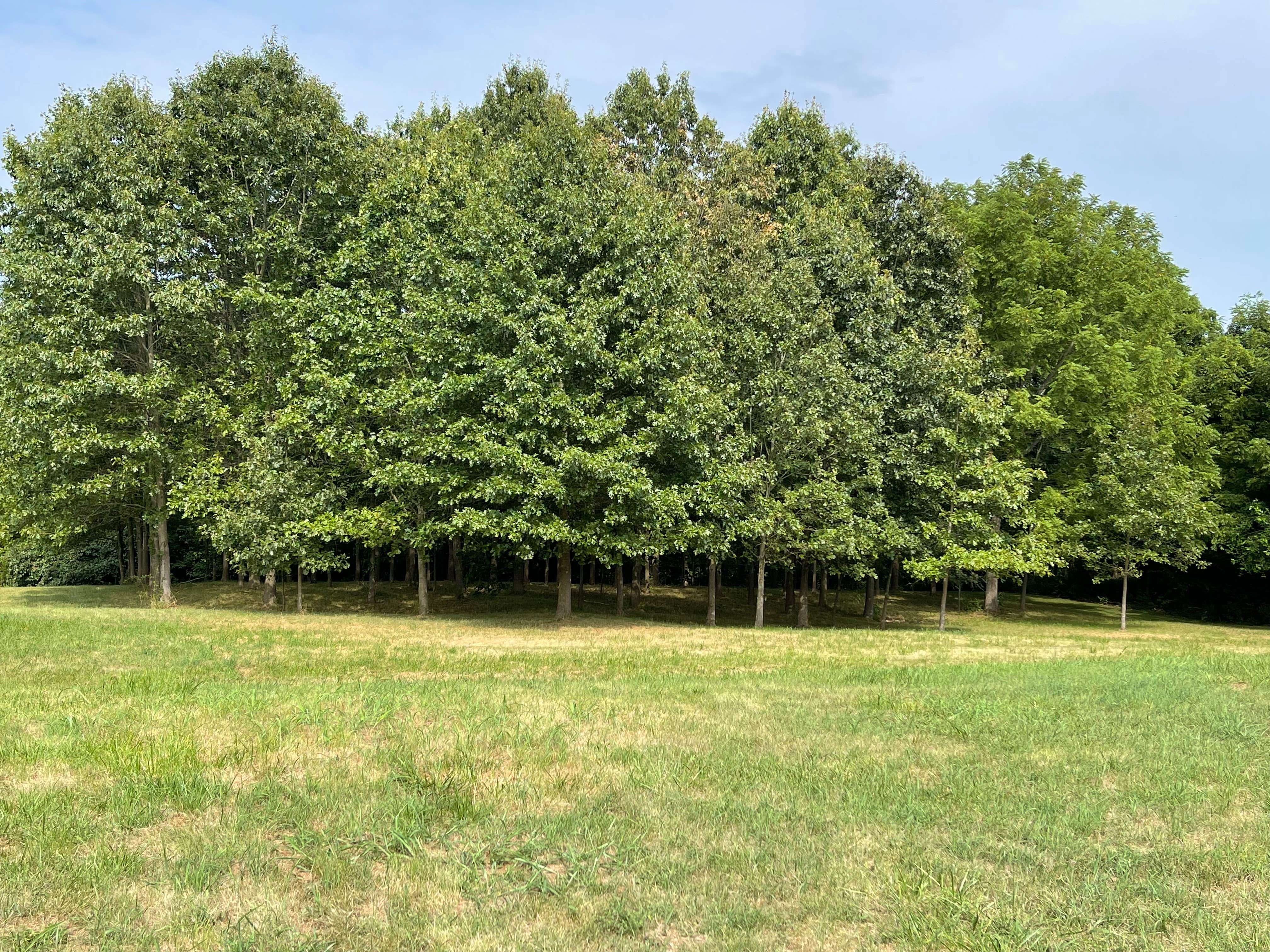 Camper-submitted photo at Birdsell Castle near Brooks, KY