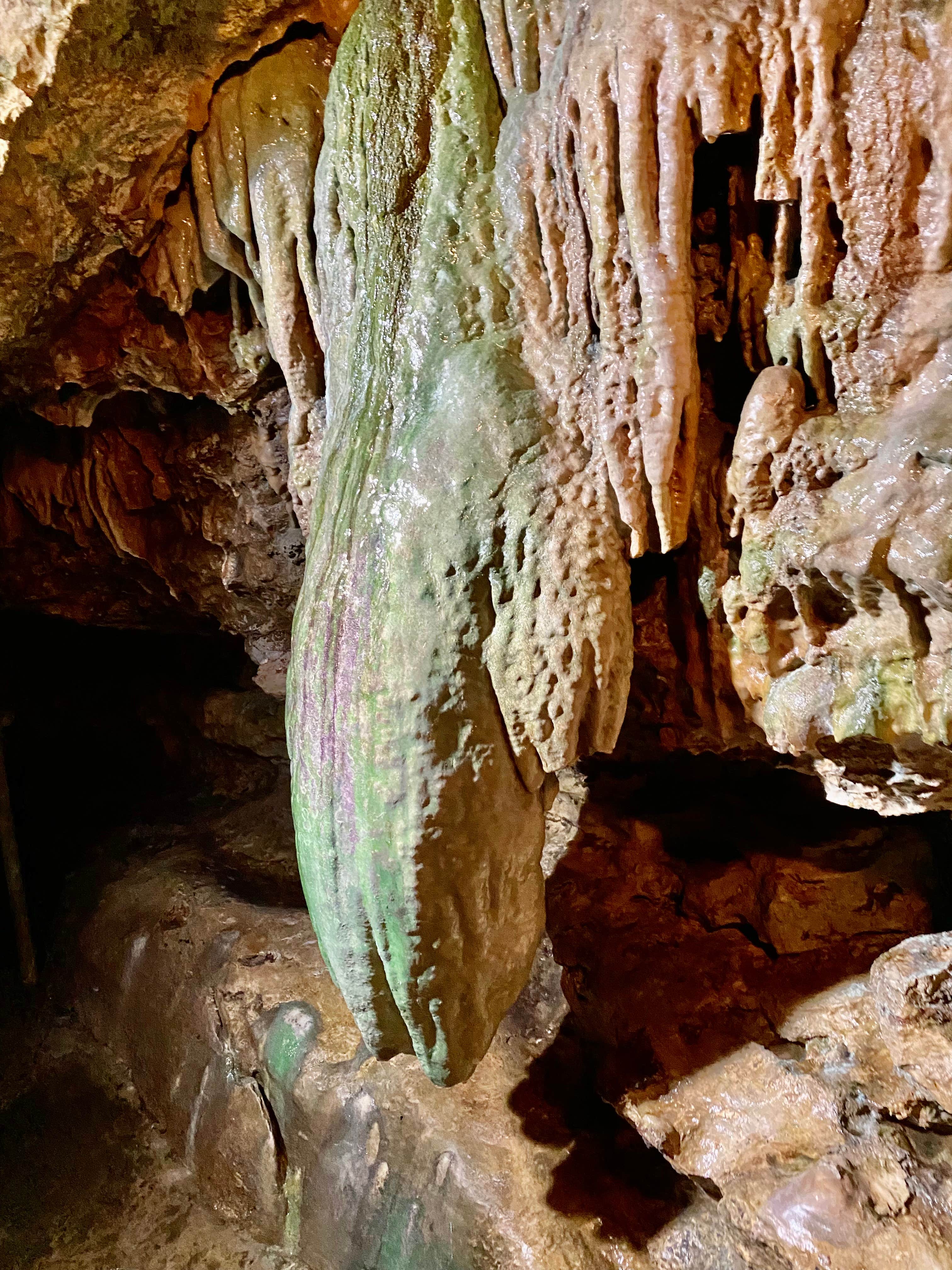 Camping near Down by the River Campground - 55+: Marla Snead, Linville Falls, North Carolina