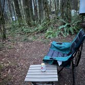 Review photo of Seaquest State Park Campground by Taryn L., February 20, 2023
