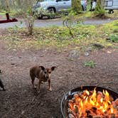 Review photo of Seaquest State Park Campground by Taryn L., February 20, 2023