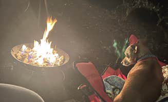 Taryn L.'s photo of camping with pets at Seaquest State Park Campground near Mossyrock, WA