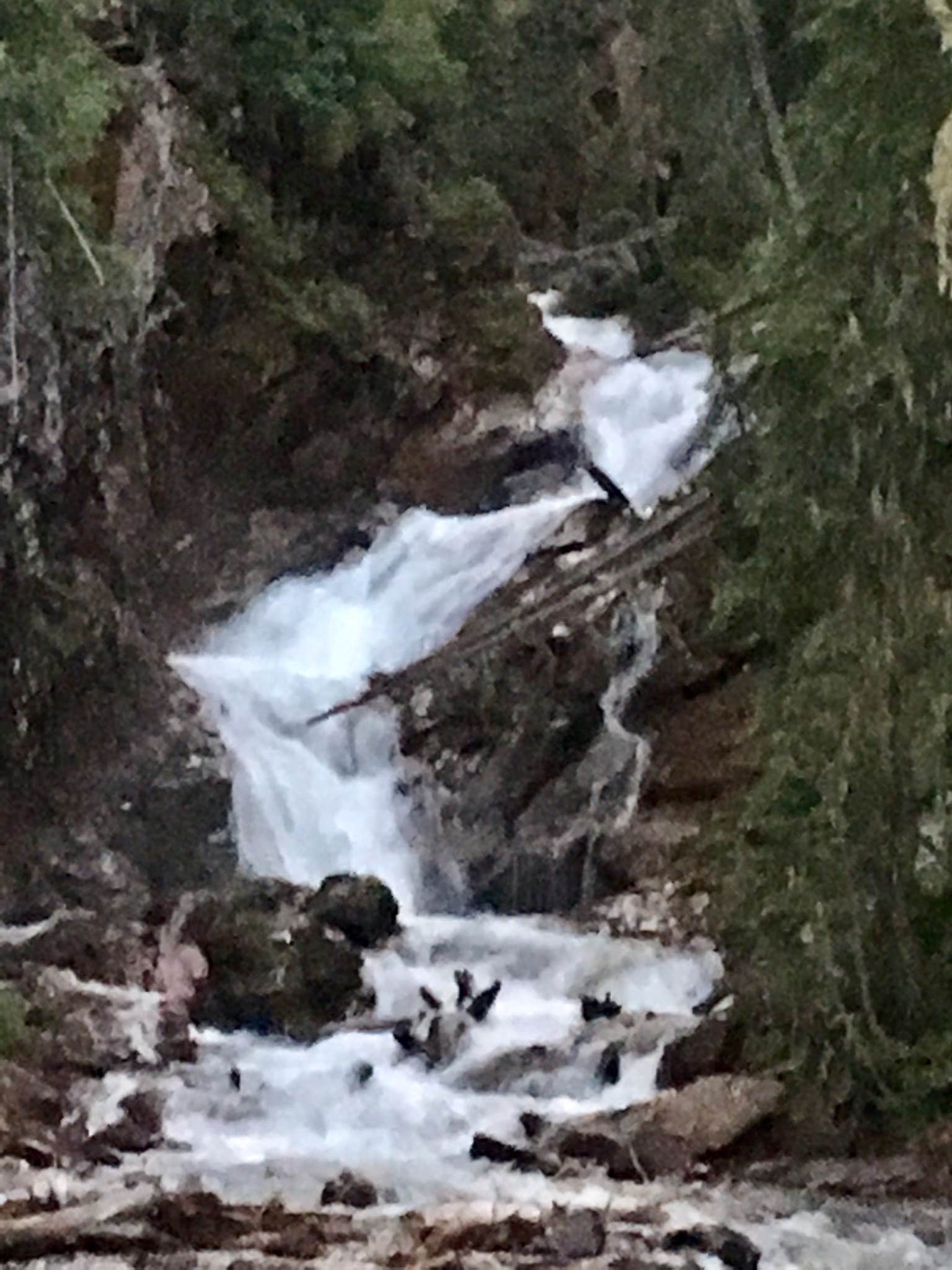Camper submitted image from Anvil Dispersed Campground- ROAD CLOSED - 3
