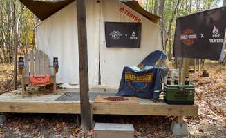 The Dyrt's photo at Tentrr Signature Site - 6 Ponds Farm Glamping near Blue Ridge, GA