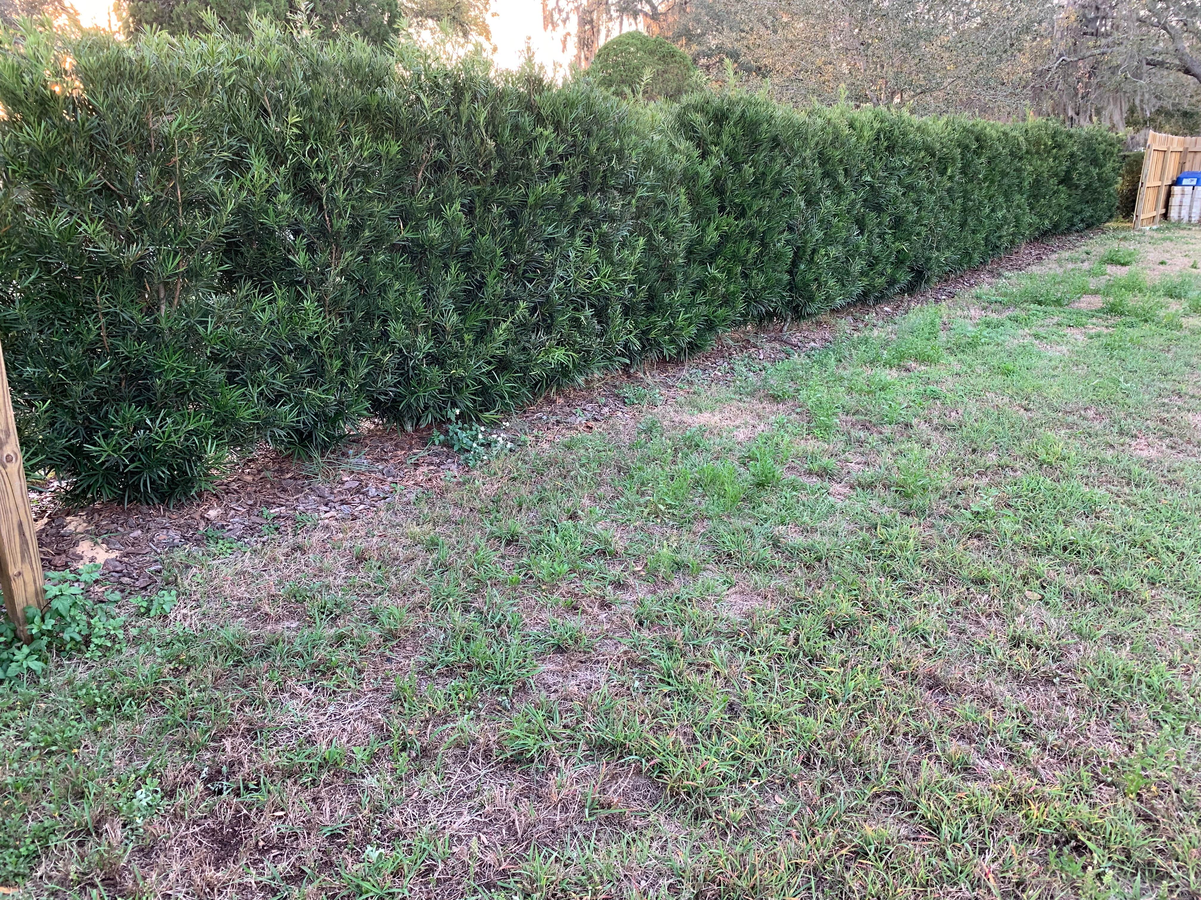 Camping near Rebecca’s Respite: Camp Lake Minnehaha, Clermont, Florida